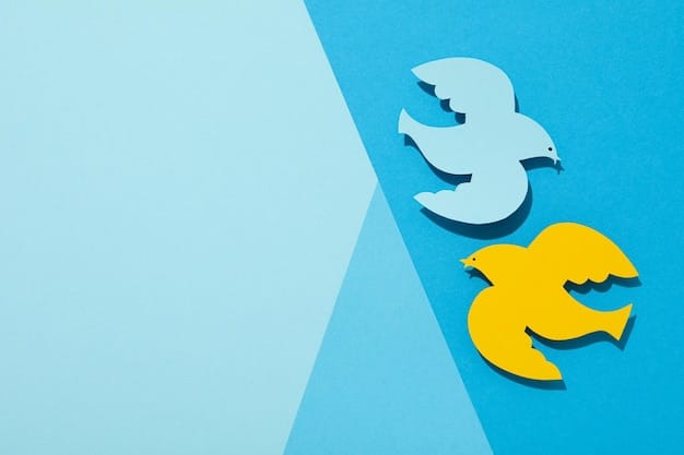 Privacy Showdown: DuckDuckGo vs. Startpage vs. Brave Search